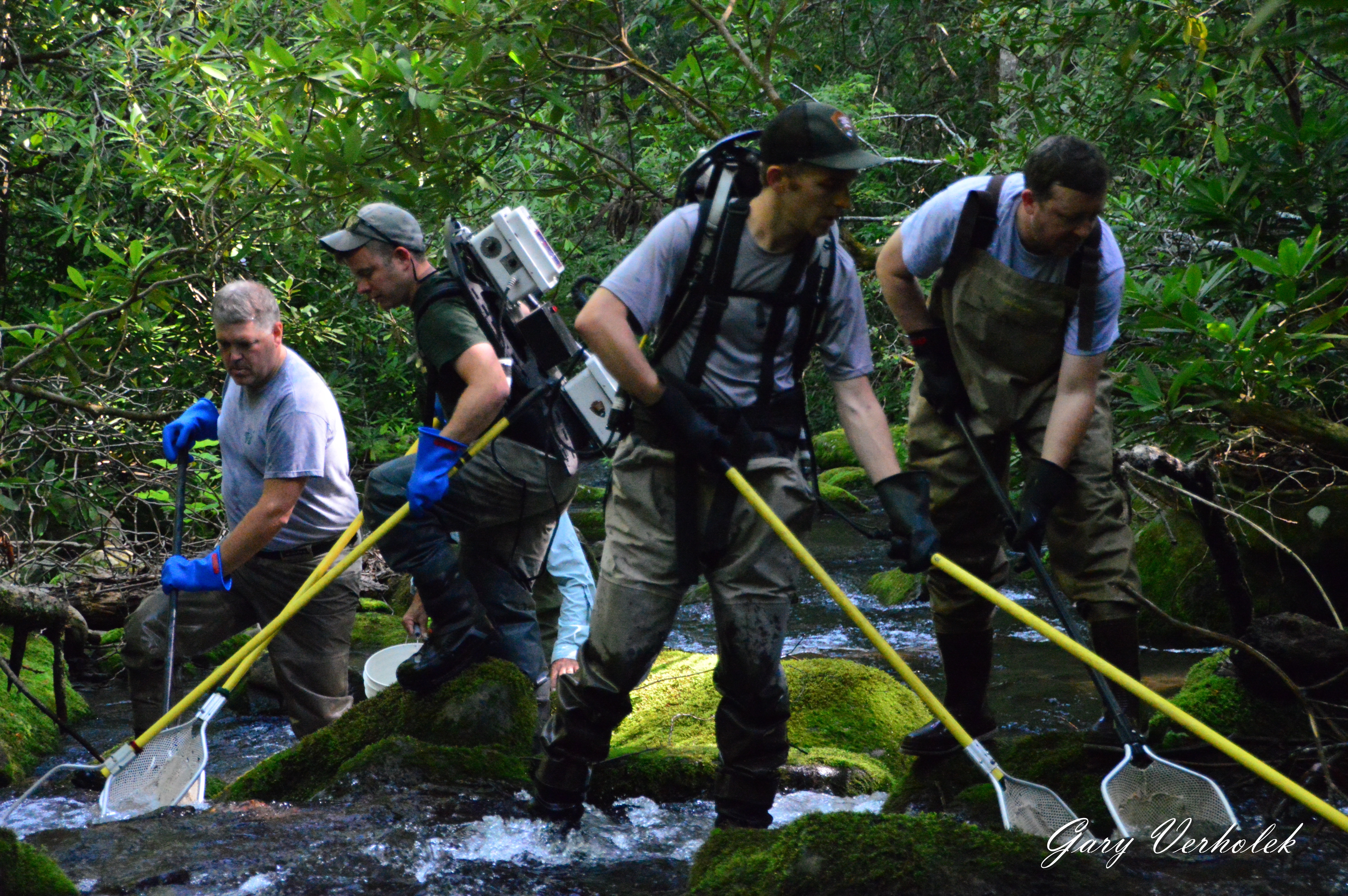 NPS restore Anthony Creek